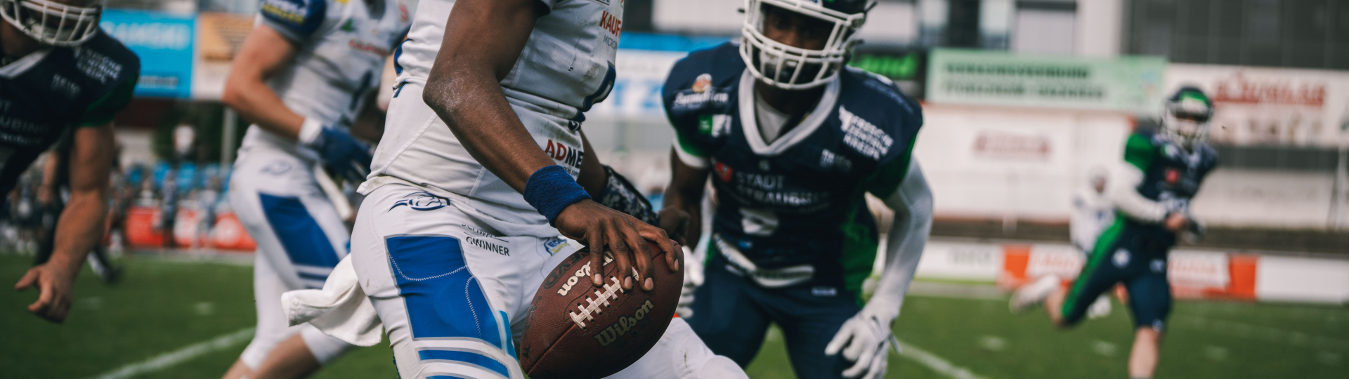 Wilddogs bleiben ungeschlagen